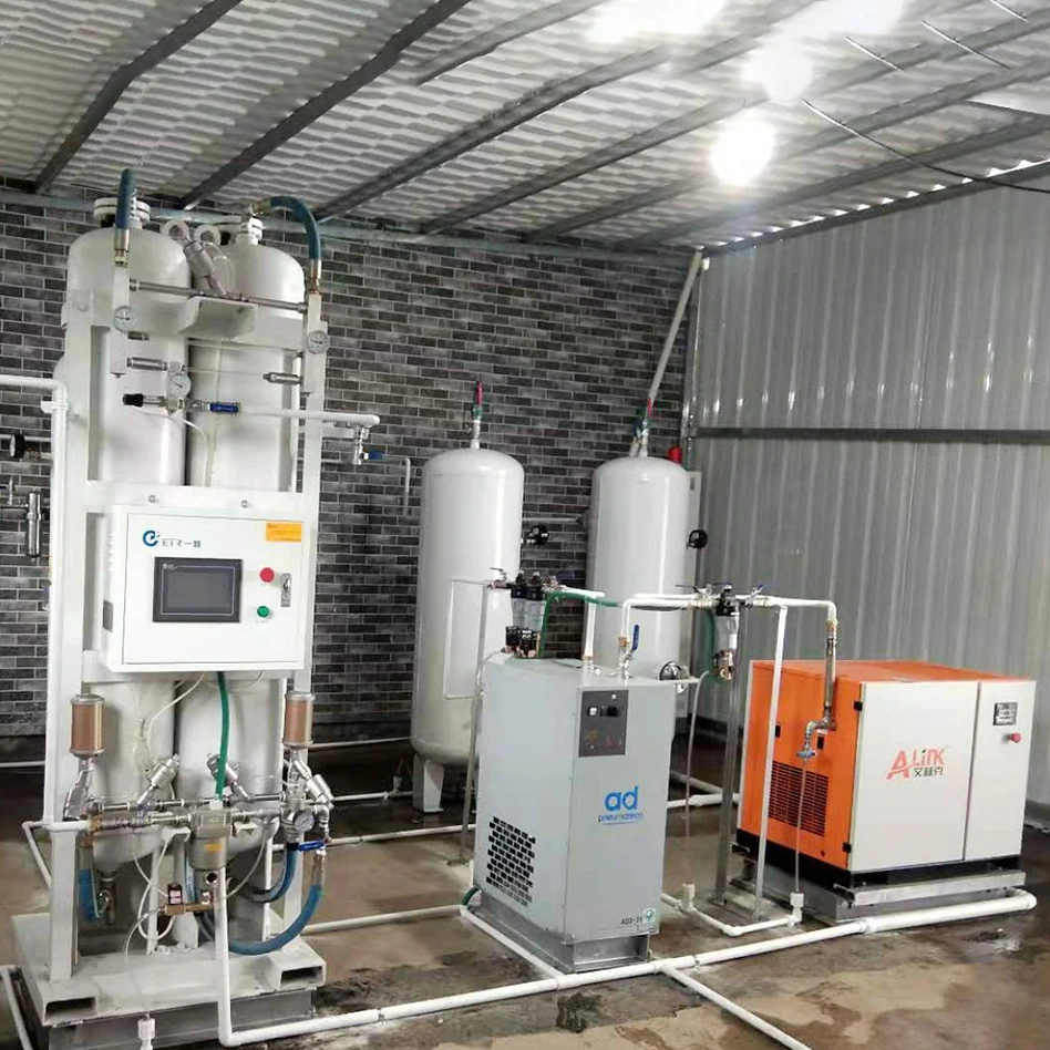 Gas Generating Air Separation Unit Hospital Medical  PSA Clinic Oxygen Plant Venta De Planta De Oxigeno