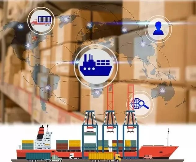 Amazon FBA by Sea Shipping 20FT 40FT Fresh Reefer Container Ocean Freight Forwarder Logistic DDP Service China To Canada UK USA