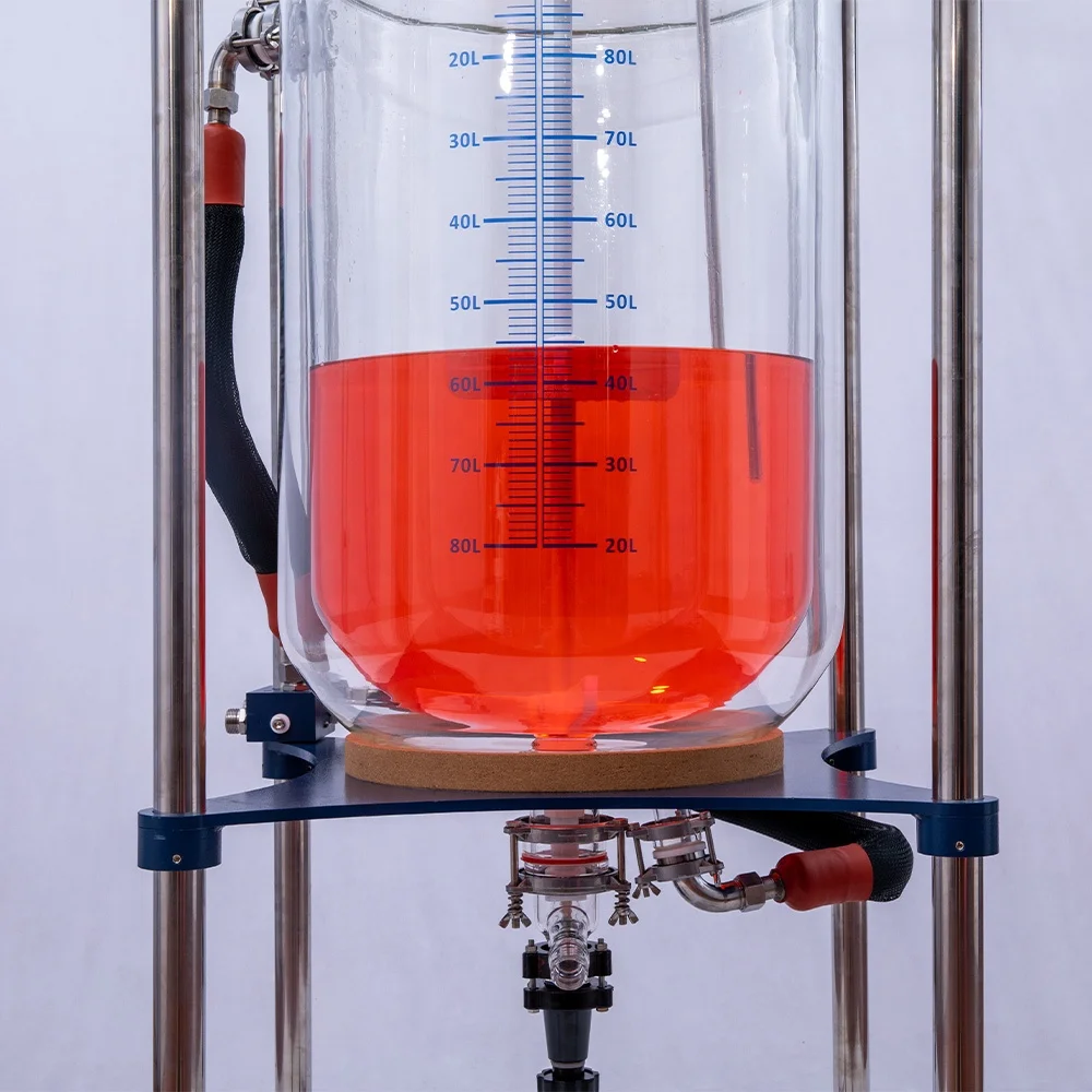 Laboratory Biotech Bio Batch Reactor Lab Scale Price