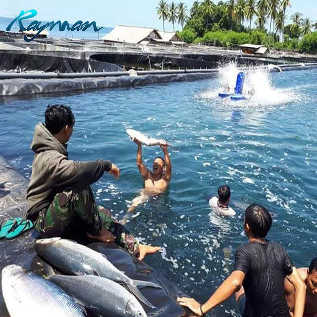 1.0mm 1.5mm HDPE Geomembrane 0.5mm 0.75mm HDPE Geomembranes Pond Liner for Pond Dam Water Harvesting Structure HDPE Geomembrane