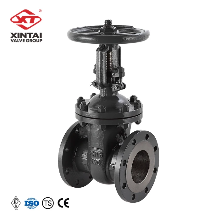  High-quality products GOST Gate valve Z41H-16C Reduced diameter