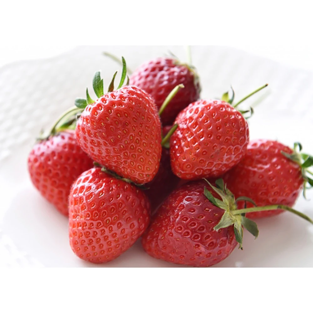 Dessert sweet fruity taste wholesale grow buy fresh strawberries for parfaits