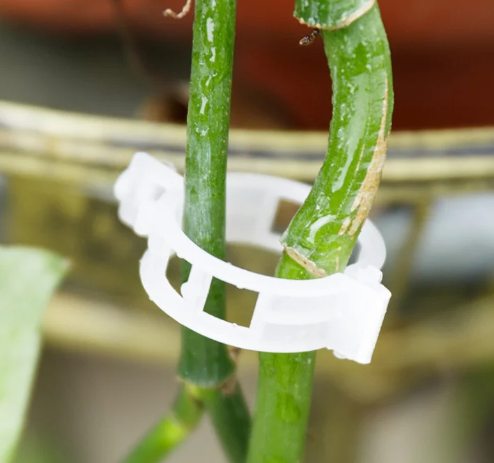 Manufacture cheap plastic buckle plant hanger hanging seedlings transparent plant silicon tomato vine graft clip