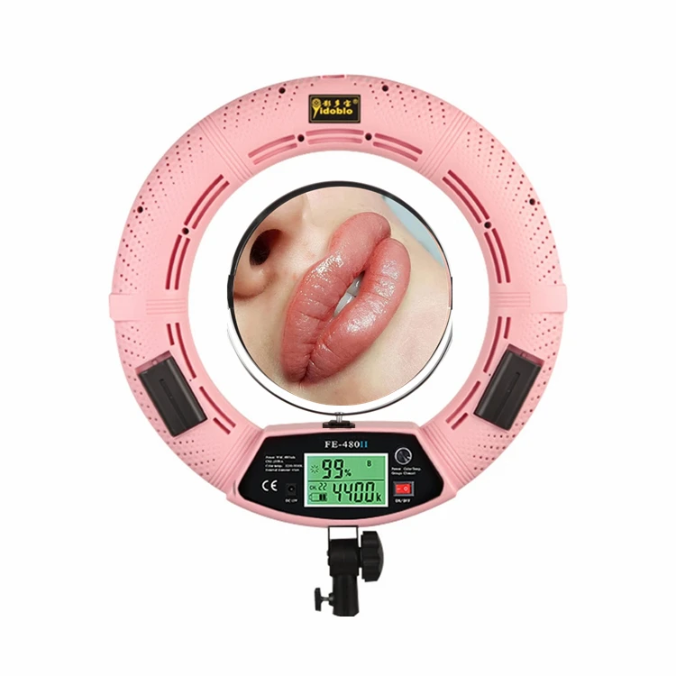 480pcs led ring light with mirror phone holder for selfie makeup beauty treatment FE480II remote control