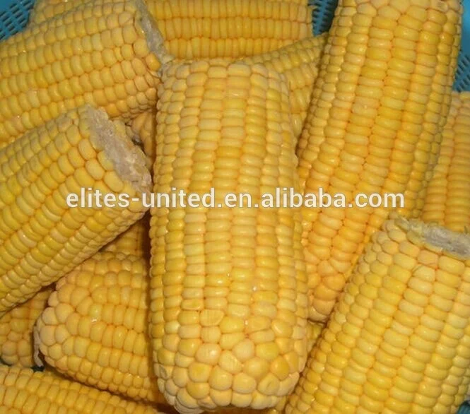 
2020 New Season Frozen IQF Sweet Corn Cob Cuts 
