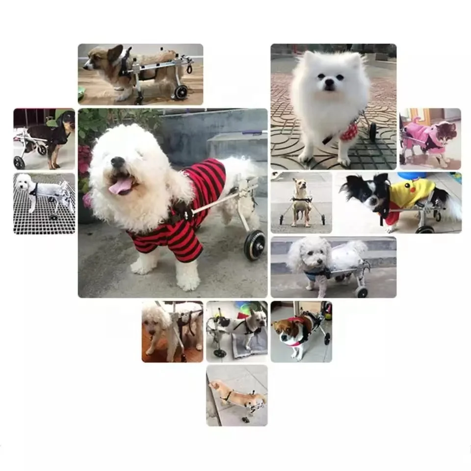 Adjustable Dog Cart 2 Wheels Chair Pet Mobility Dog Wheelchair for Handicapped Pet Dog wheelchair