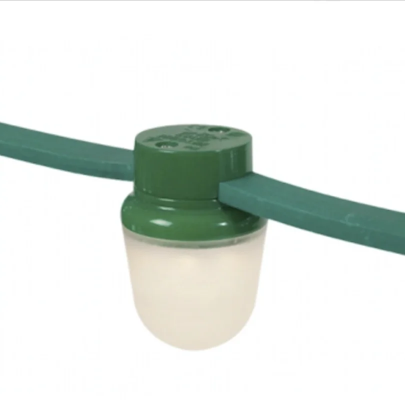 Professional manufacturing LED poultry lighting Made in China LED poultry lighting High quality LED poultry lighting