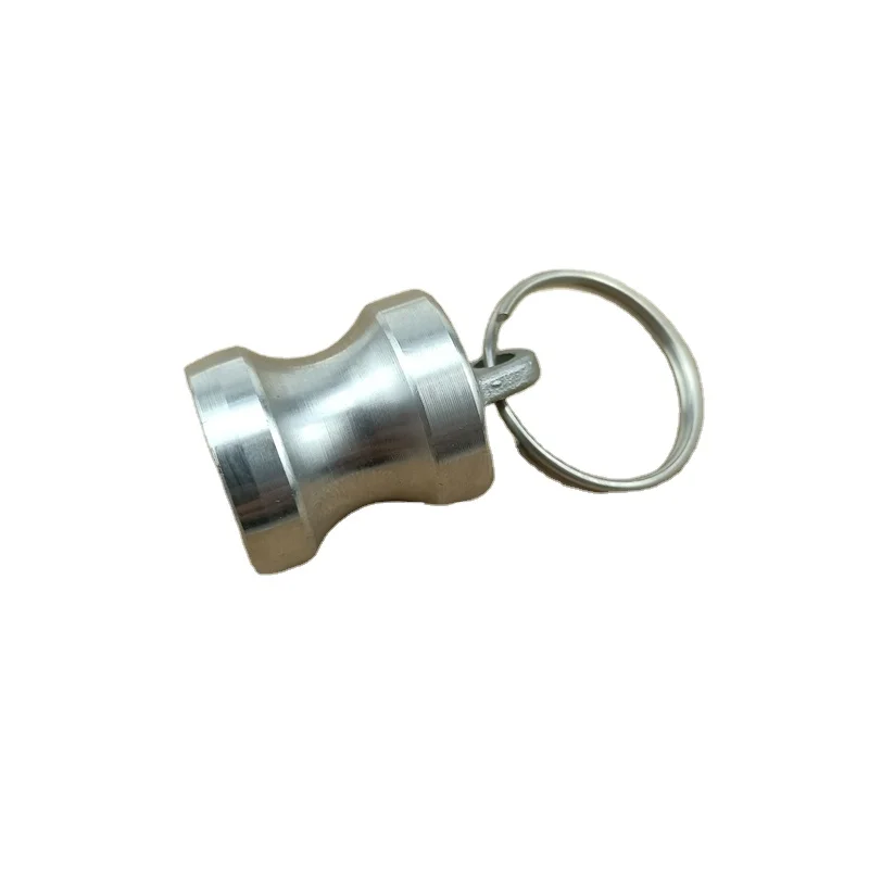 Stainless Steel Safety Type DP Dust Plugs Cam and Groove Fitting