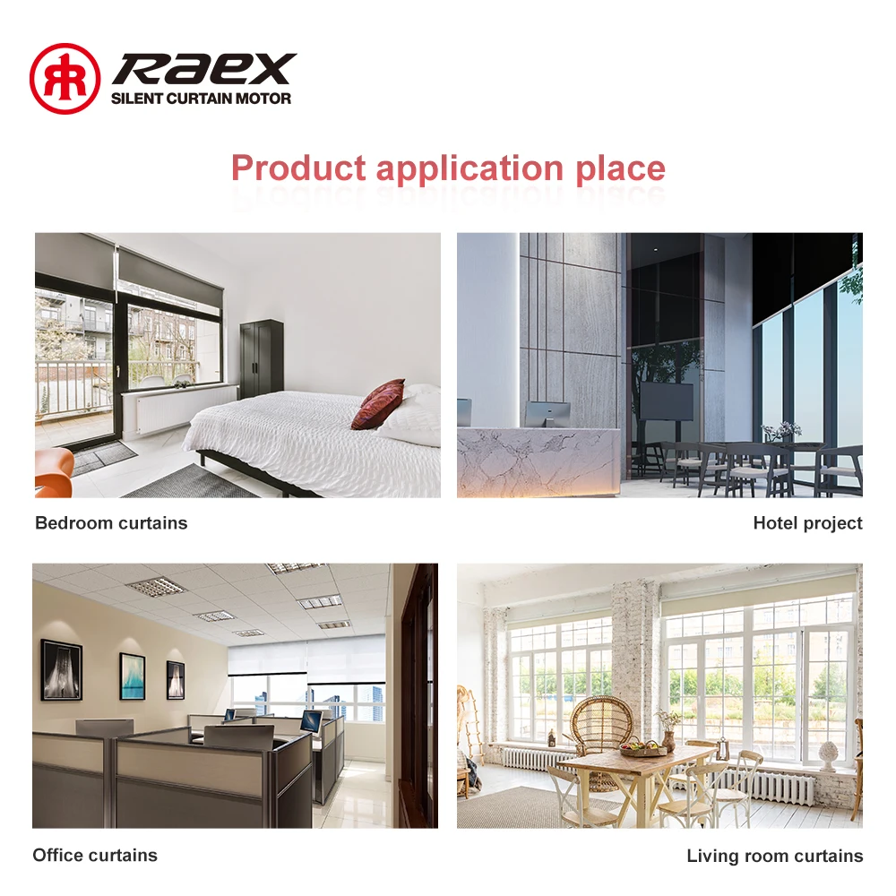 best price RAEX 25mm DC blind motor