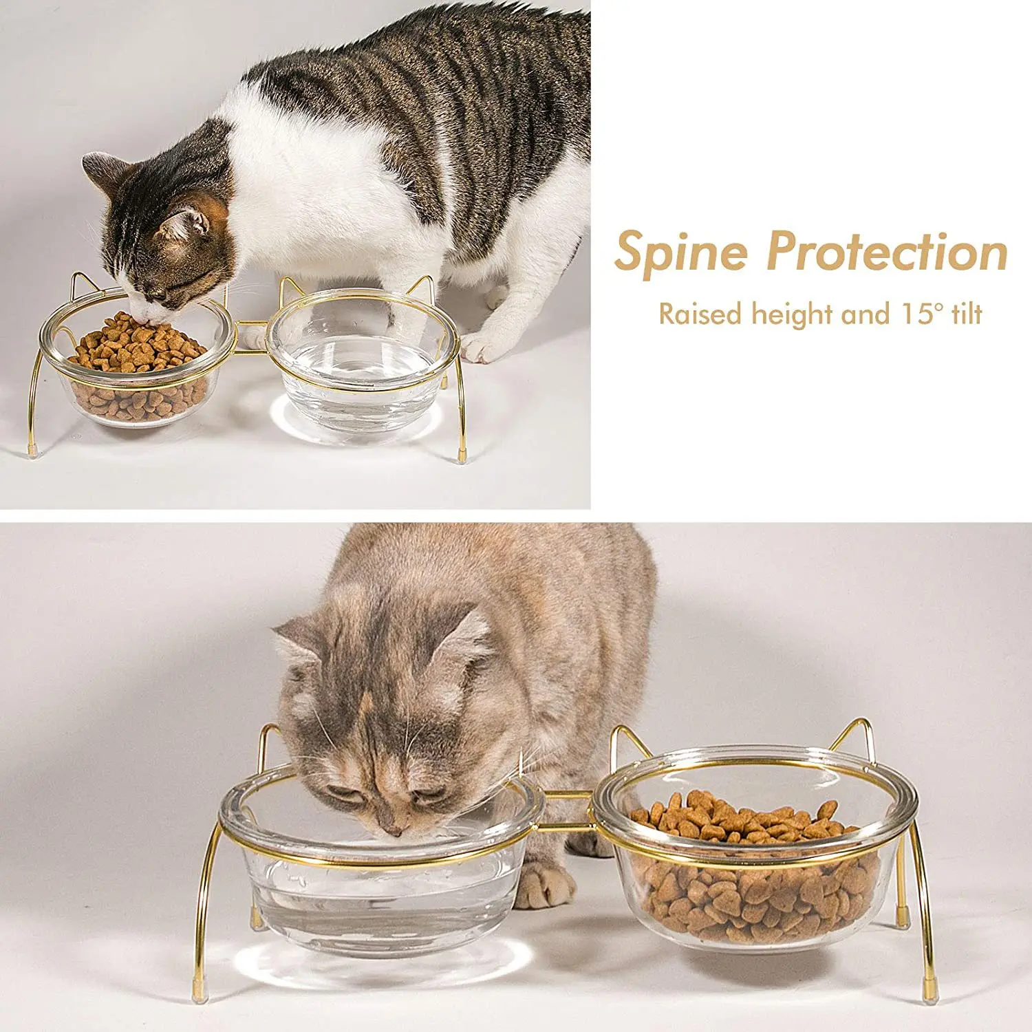 Personalized Elevated Raised Tilted Slanted Glass Stainless Steel Heated Cute Bowls For Cat Dog