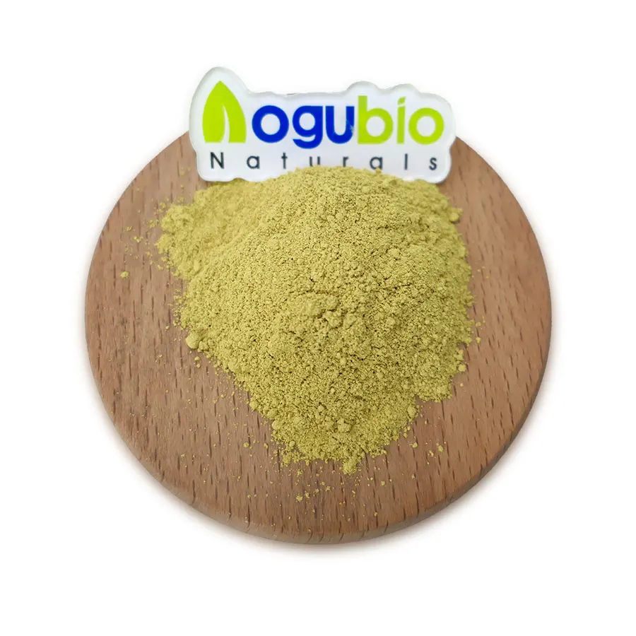 High Quality Isoquercetin Powder Pure Natural Isoquercetin CAS 482-35-9