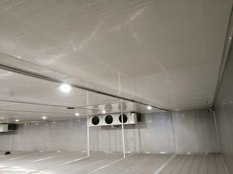 High Efficient Customized Industrial Seafood Cold Room Manufacturer