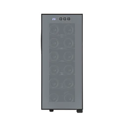 Best Small Coolers 2 Bottle Wine Cellars High Quality Thermoelectric Wine Fridges for Sale Single Glass Door Mini CB CE ETL 5-18