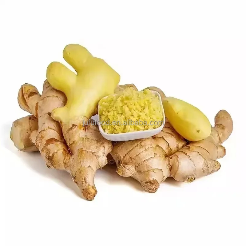 Ginger in Vietnam ginger with best price Vietnam top quality ginger fresh