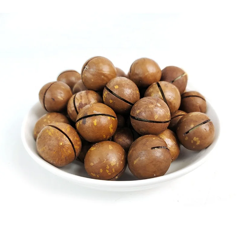 Macadamia Nuts Roasted and Cracked 22mm--25mm Nutritious Direct-Eating Snack Wholesale from China .