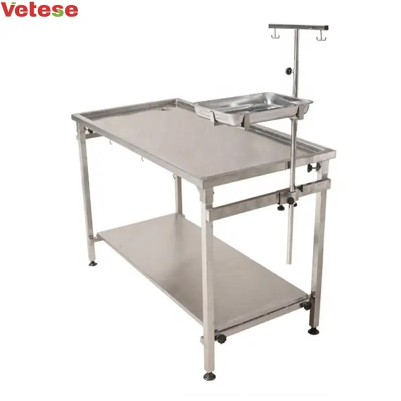 Medical Veterinary Surgical Equipment Animal Dissecting Table Stainless Steel Simple