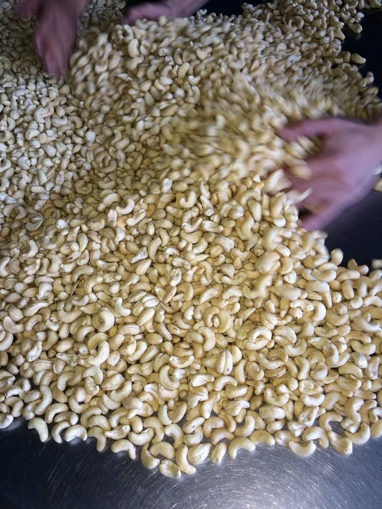 Export Cashew Nut Kernels Ww180, Ww220, Ww240, Ww320, Ww450 0 - origin Vietnam - Best Quality