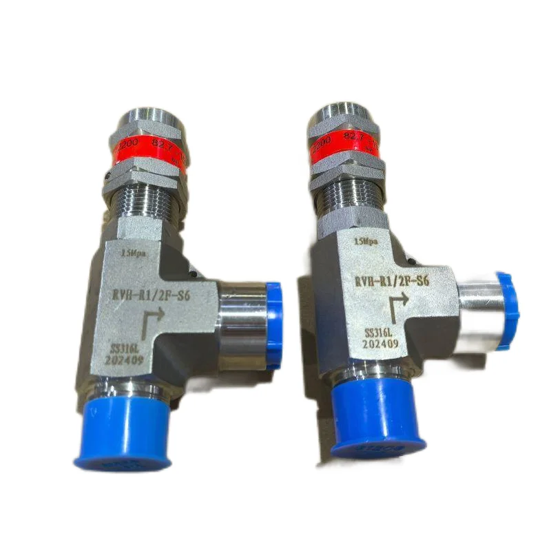 Air Regulator Spray Gun Smc Gas Digital Natural Denso Fuel Lpg Cooking1/4 Air oxygen safety valve safety relief valves  304