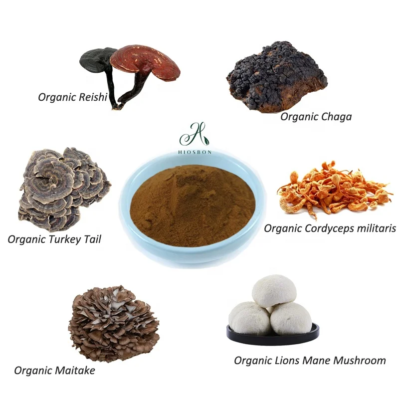 6 in 1 Mushroom Extract Superfood Blend Powder-Lions Mane, Reishi, Cordyceps, Chaga, Turkey Tail, Maitake