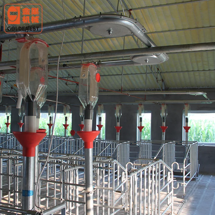 pig raising equipment / pig feeding equipments