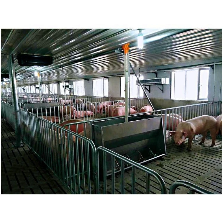 Pig Farm Equipment Stall System Farrowing Crate Pig Pen Piggery Weaning Stall