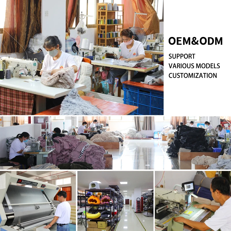 Fairypet Custom Removable Soft Cute Unique Designer Dog Beds Pet Bed for Dogs