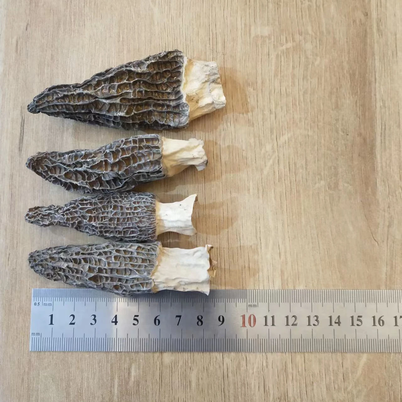 Chinese 7-9cm,  1cm Stem Dried Morel Mushroom