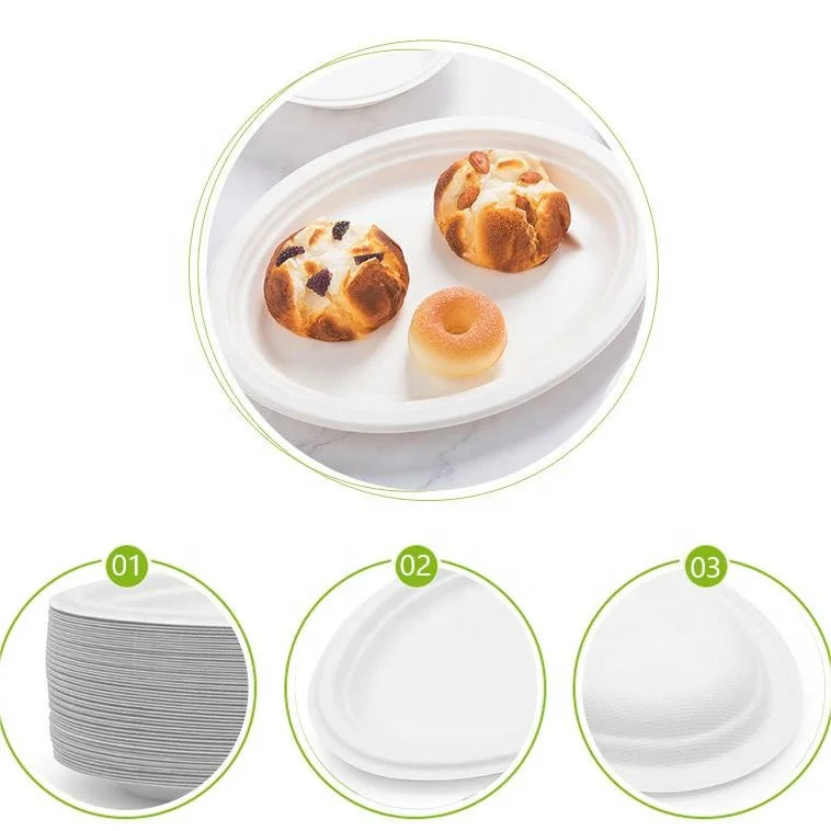 Tableware Sets Biodegradable sugarcane bagasse takeaway paper plate Food Container disposable oval party plate