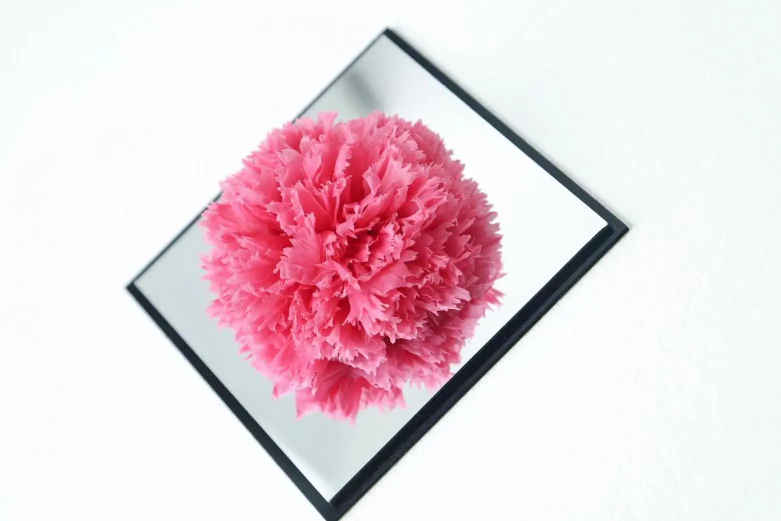 Beautiful Gift Forever Flower Preserved Flower Preserved Carnation Mirrored Acrylic Box