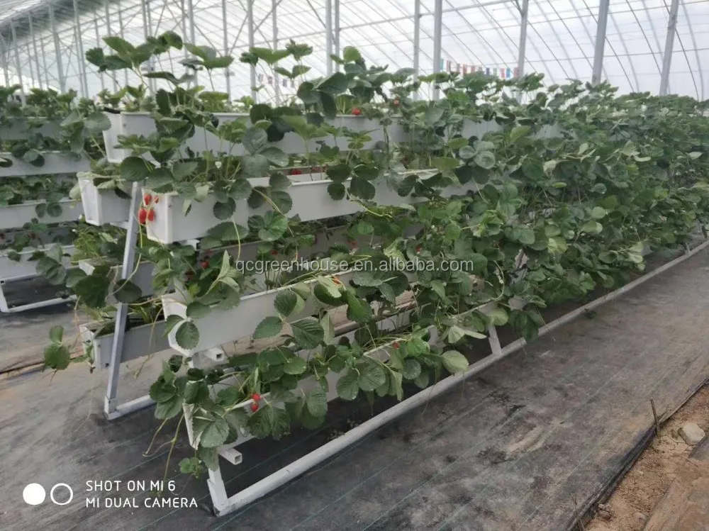PVC Greenhouse Agricultural Hydroponic Strawberry Growing Systems Cultivation Plastic Gutter