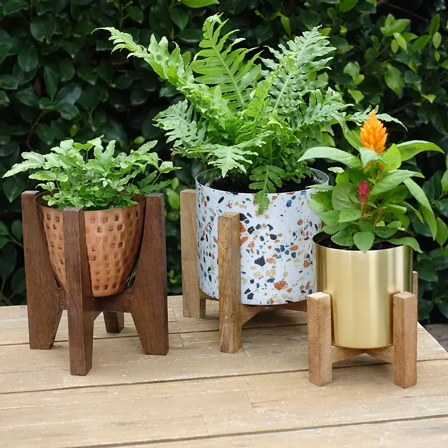 
Adjustable Modern Design Decorative Wood Small Standing Pots Plants Indoor Suitable For Succulents 