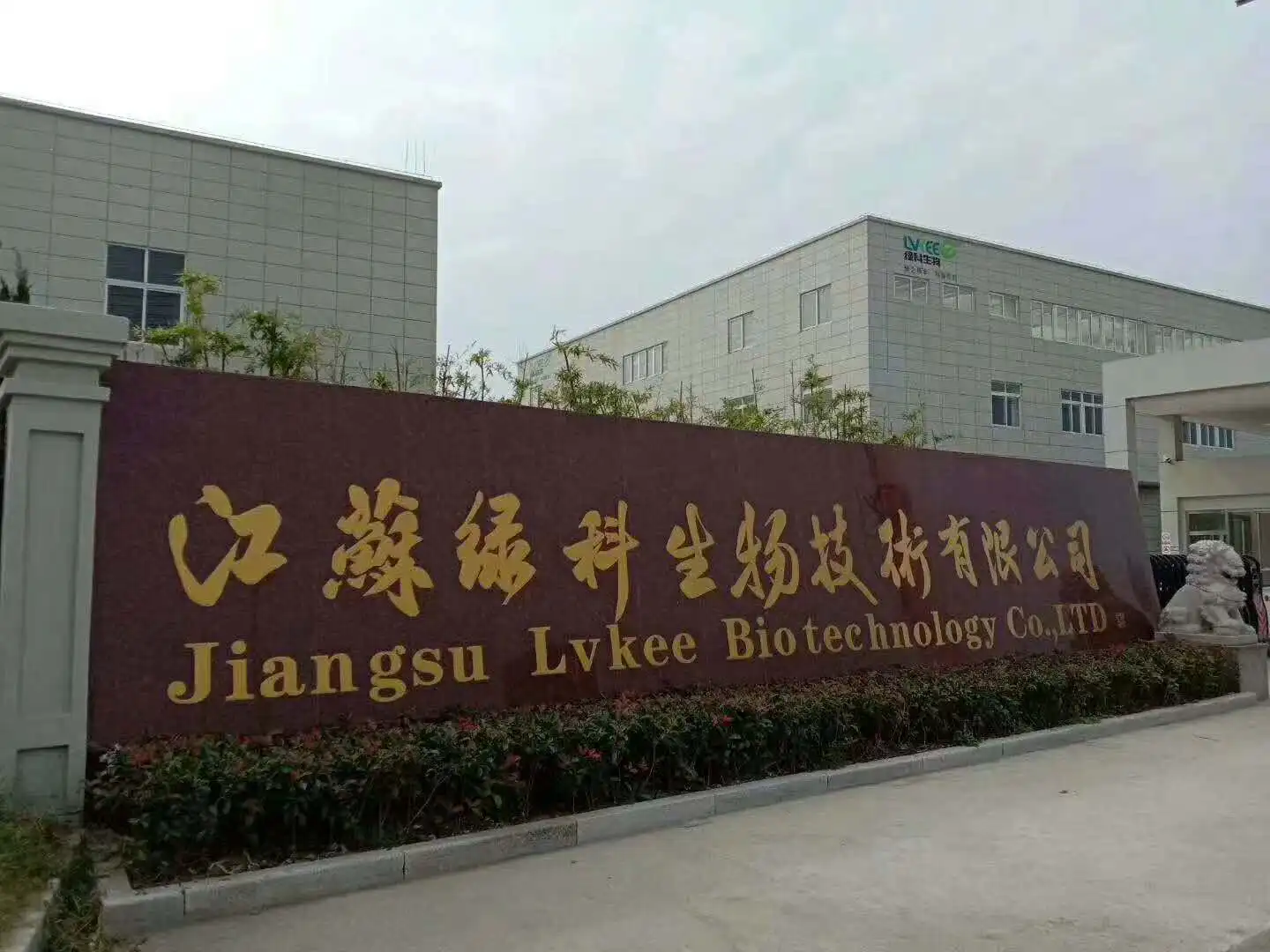 Agricultural fertilizer/Planting/Soil Probiotics Powder Bacillus Laterosporus from China Lvkee