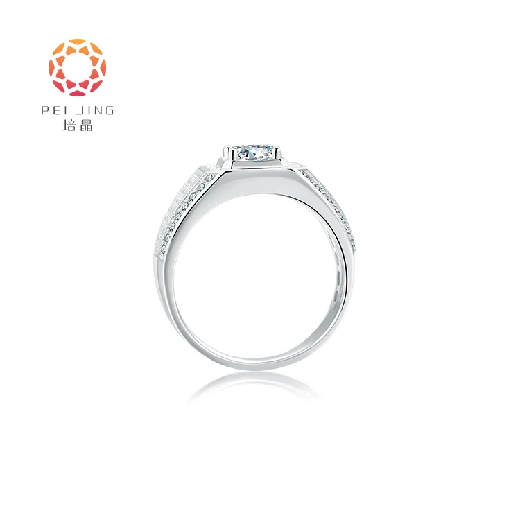 Elegant Lab Grown Diamond Ring 14k/18k White Gold Ring Men Diamond Eternity Ring For Men