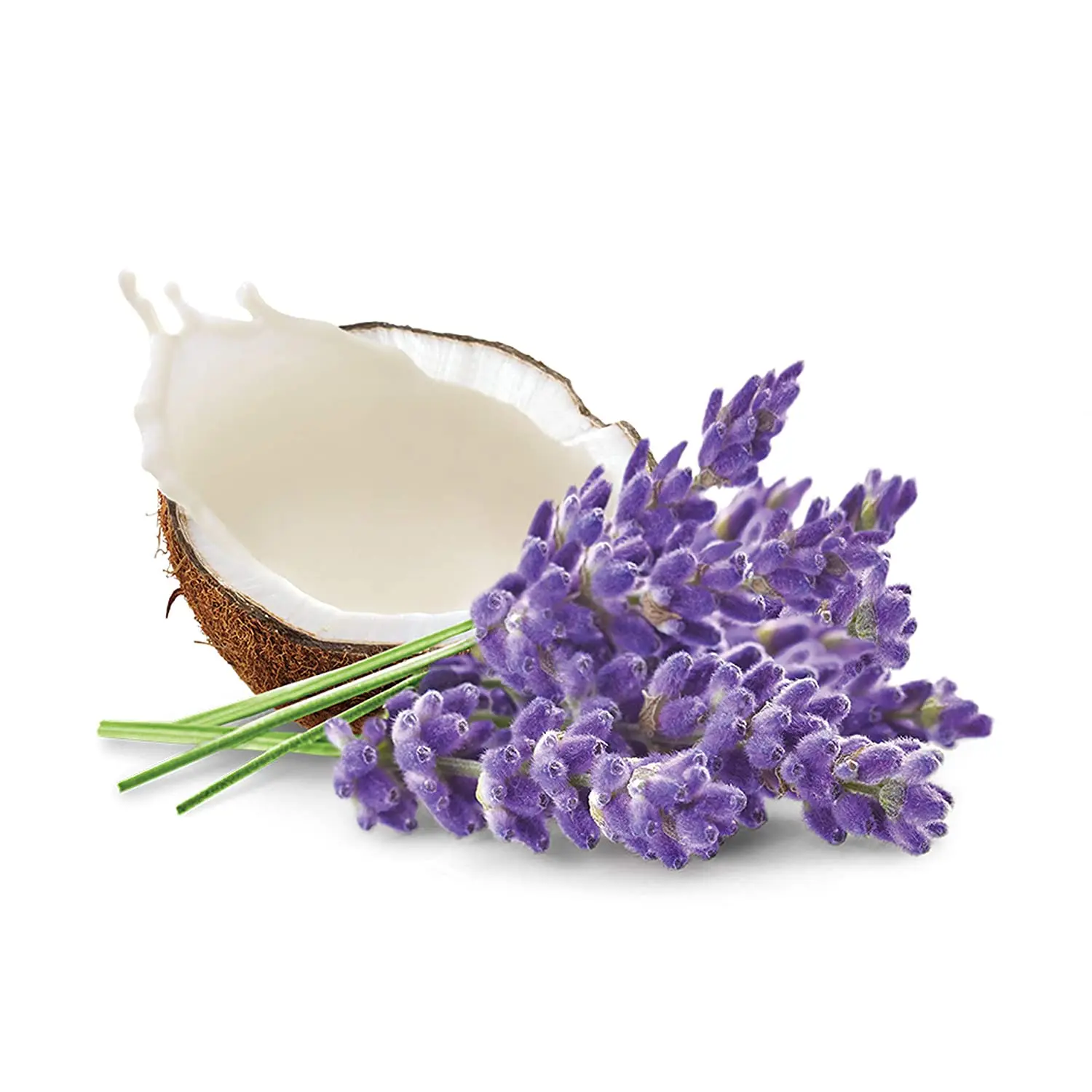 Private Label OEM ODM Moisturizing Hydrating Whitening Lavender and Coconut Milk Whipped Body Cream Lotion