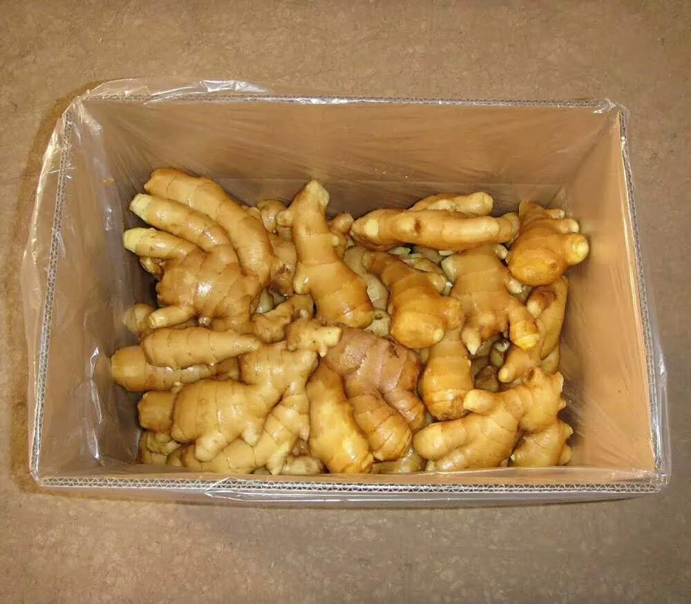 aromatic ginger from red ginger not fresh ginger from thailand