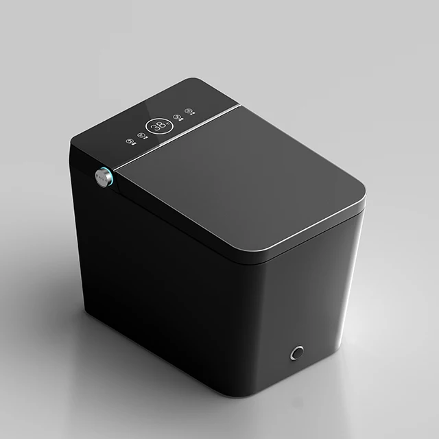 Modern Design Bathroom Electric Bidet Sanitary Wc Toilet Bowl Automatic Intelligent Black Toilet