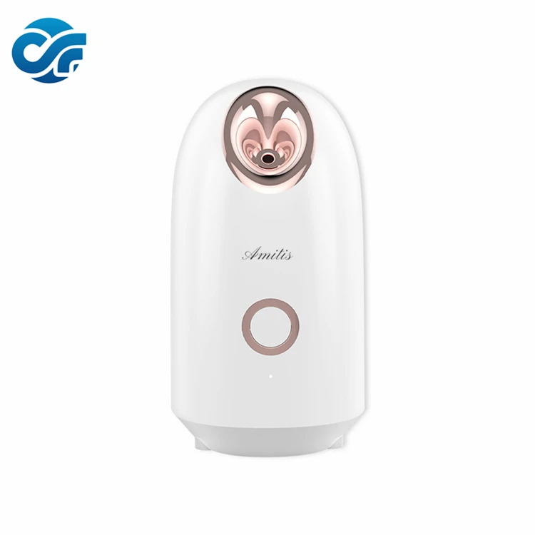 Hot Jet Steaming Face Device Portable Professional Electronic Mini Facial Mist Spray Wrinkle Removal Beauty Machine Face Steamer