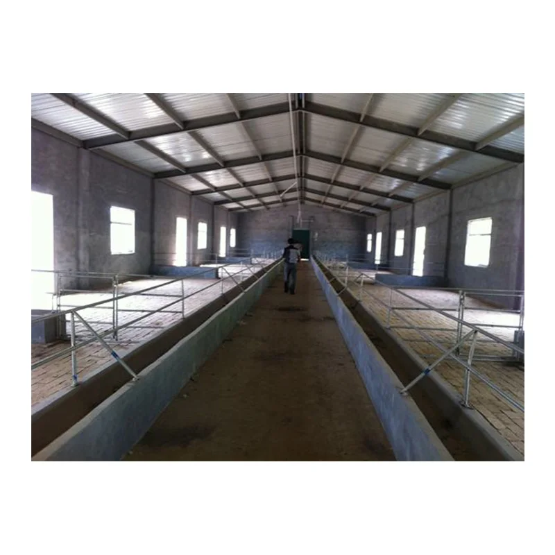 Low cost broiler chicken goat farm shed manufacturer steel structure