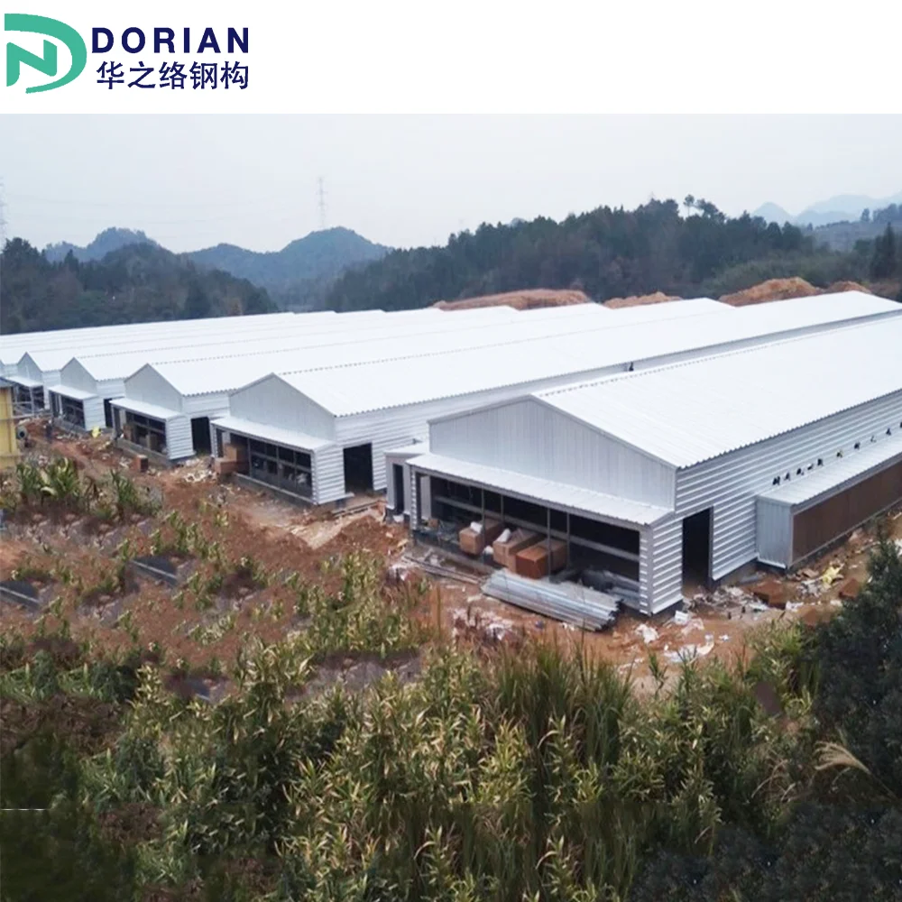 Prefabricated Steel Structure prefab poultry tunnel house Steel Building houses of the chicken usda farm building plans