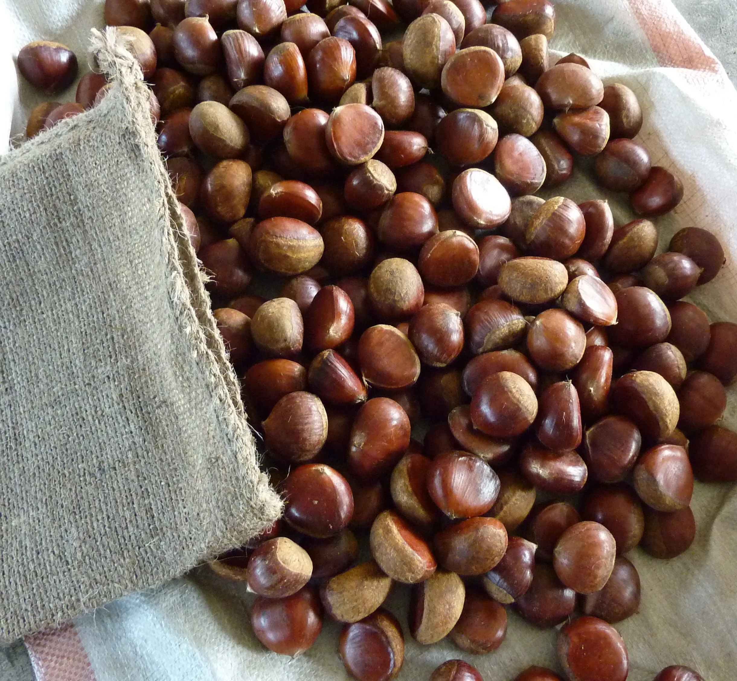 Best Chinese New Crop fresh organic Bulk Fresh Chestnut supplier chinese food wholesale frozen raw food