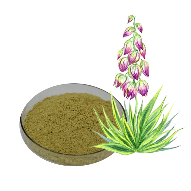 Sarsaponin Water Soluble Yucca Schidigera extract Yucca powder