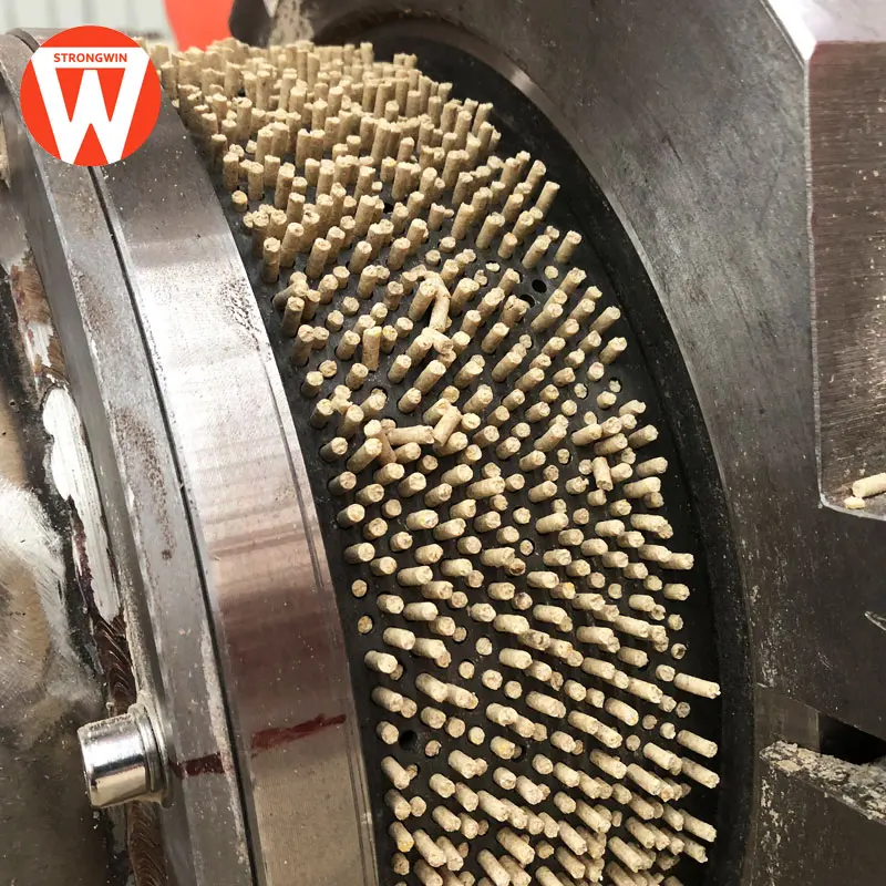 China Strongwin industrial fodder pellet press machine chicken feed pellet making machine to make pellets for birds