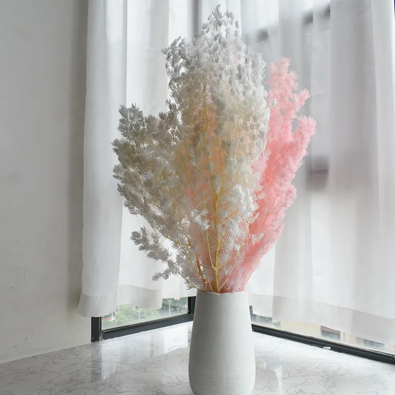 Wholesale Dried Flowers Preserved Asparagus Myrioeladus For Bridal Bouquet