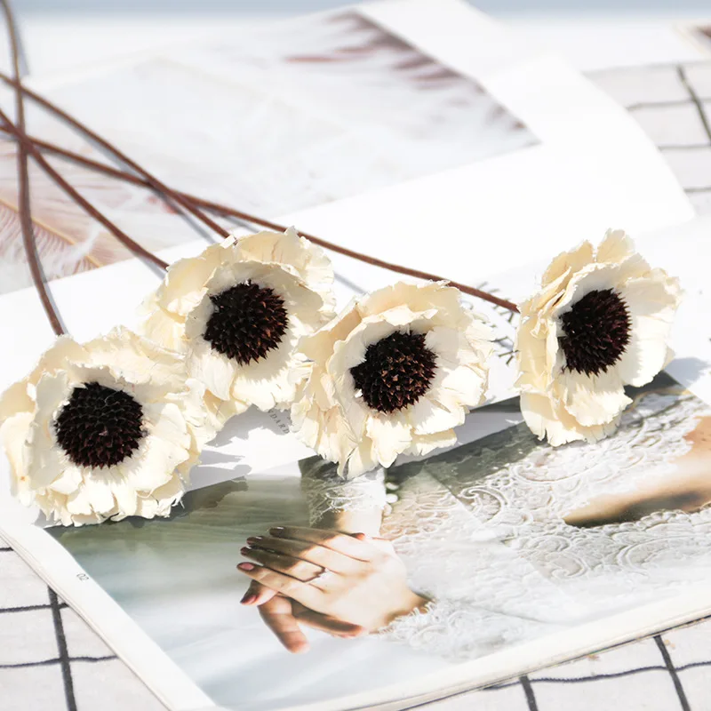 2022 Yunnan Wholesale The Most Popular Dried poppy flower Dried Fruit Dipsacus Sativus for Christmas