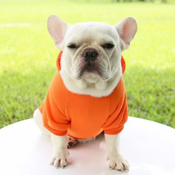 Hot selling Wholesale Multi Color Comfortable Winter Dog Clothes Pet Dog Hoodie For Pet