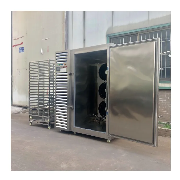 Высококачественный туннель для замораживания жидкого азота в морозильной камере/контейнер для холодной камеры для курицы