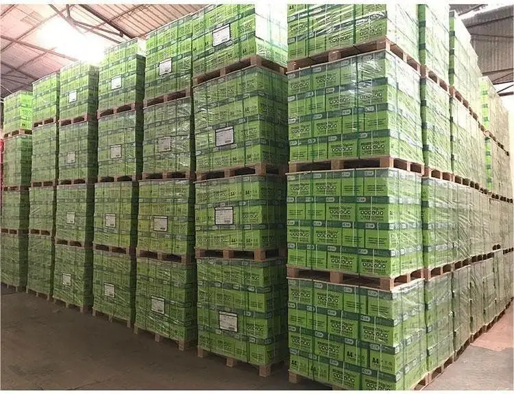 Low Price A4 Paper Jumbo Roll A4 Copy Paper 70g 500 Sheets Stationery A4 Copy Paper