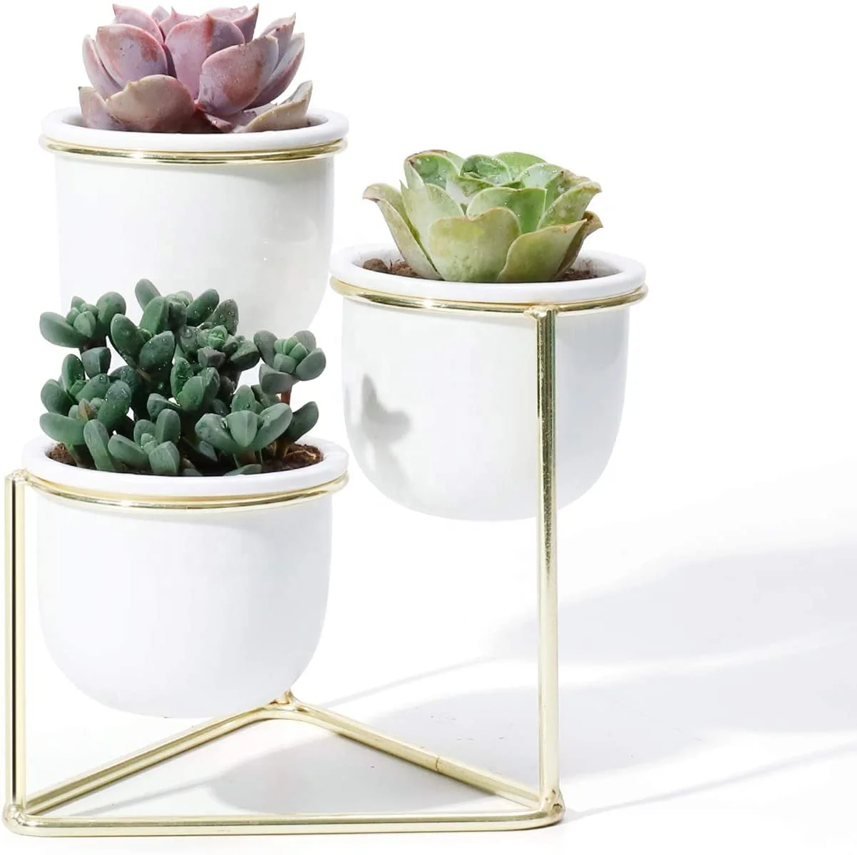 
3 Piece Ceramic Succulent Planter Pots 3 Inch Modern Century Indoor Cactus Container with Golden Metallic Stand 