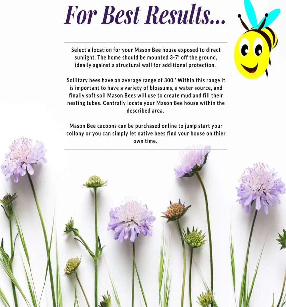 Mason Bee House Natural Elderberry Bee Hotel Handmade Bee Hive