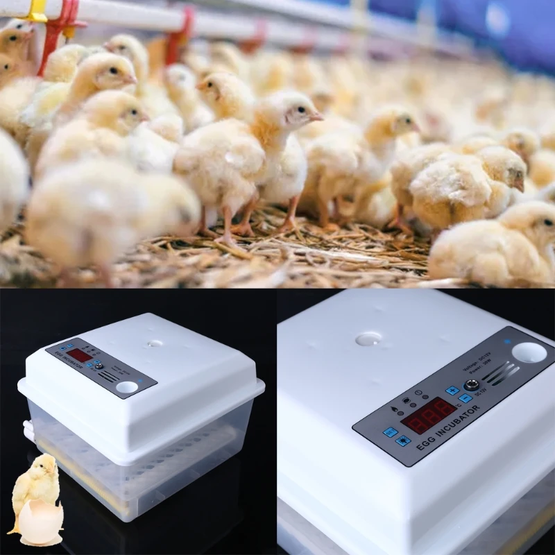 5pcs duck egg Dual Power Supply Medium-sized Automatic incubator